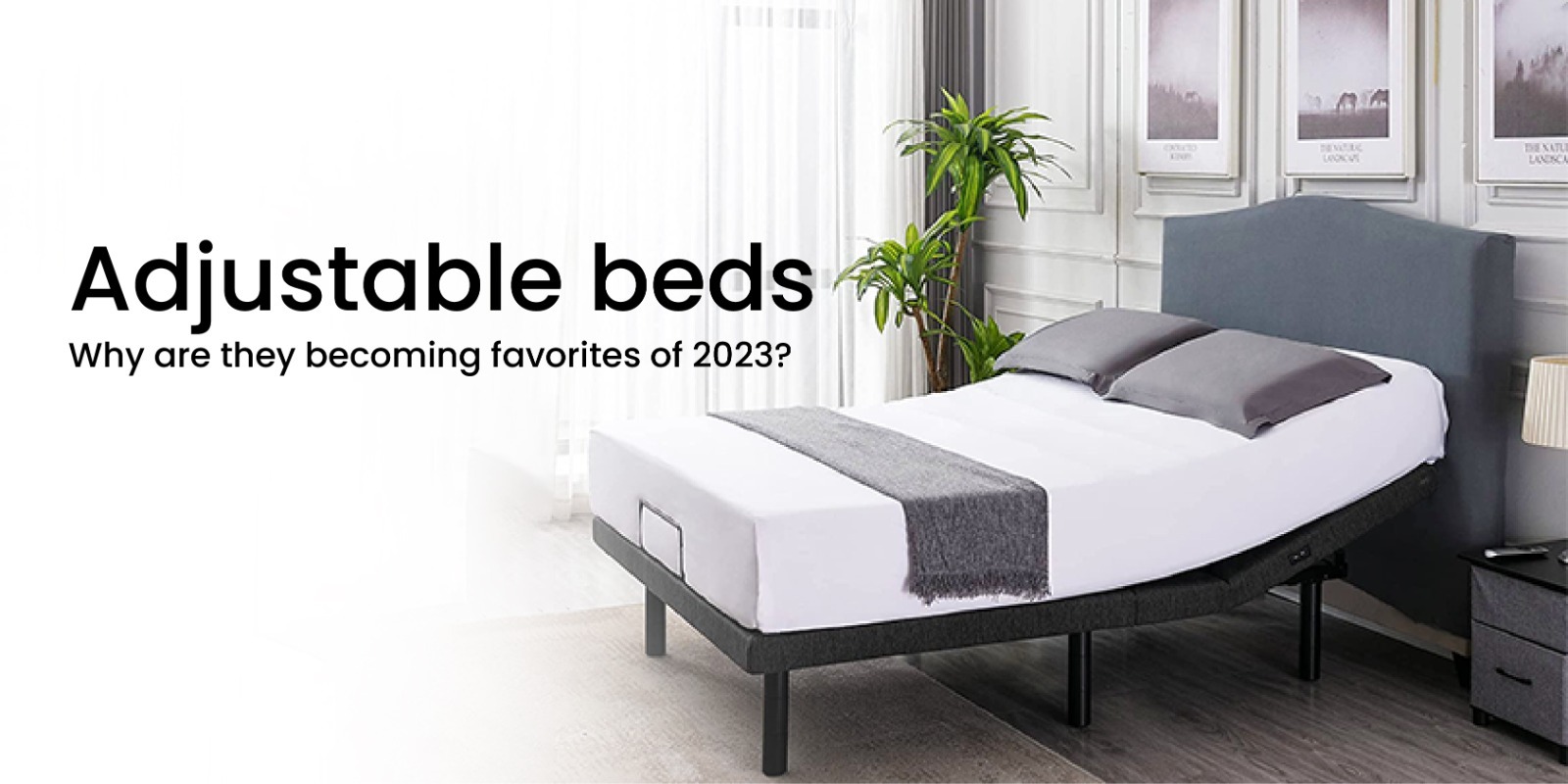 Adjustable Beds Why Are They Becoming Favorites Of 2023 Adjustable Beds Why Are They Becoming Favorites Of 2023